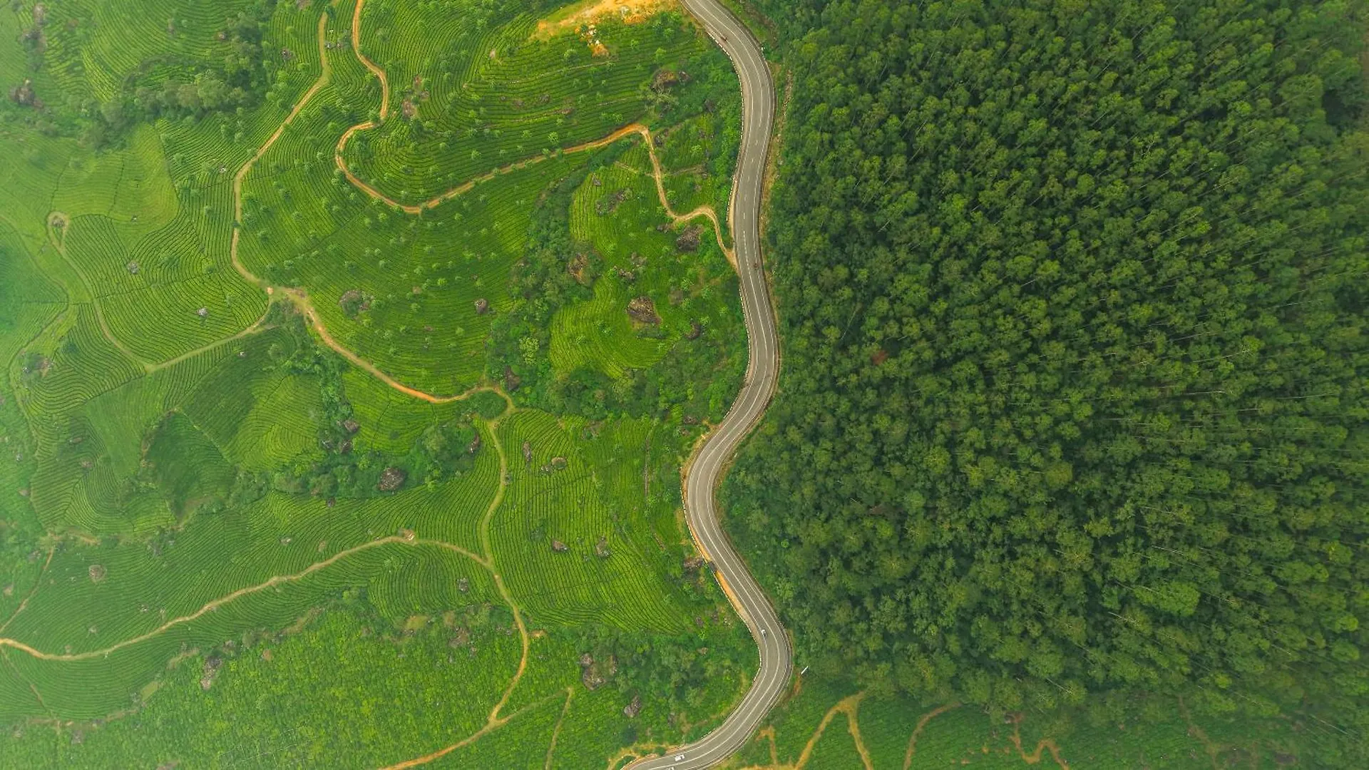Eastend Munnar
